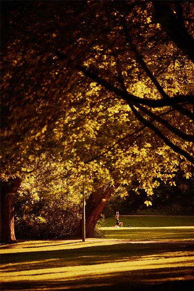Idylle  & Ruhe im Bosepark.